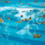 How In-Floor Pool Cleaning Systems Actually Work (And Whether You Need One)